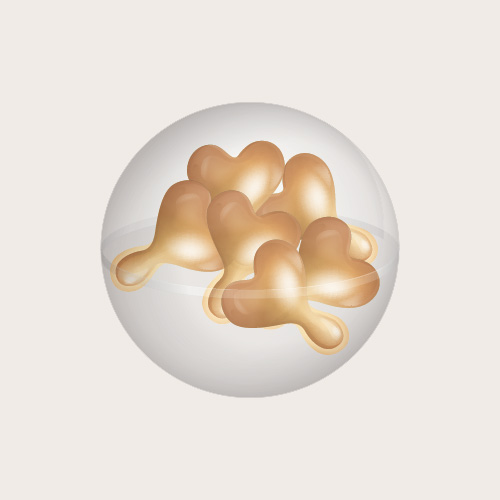 肌底精華油膠囊6入體驗裝